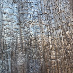 Meet your Posher, Charles